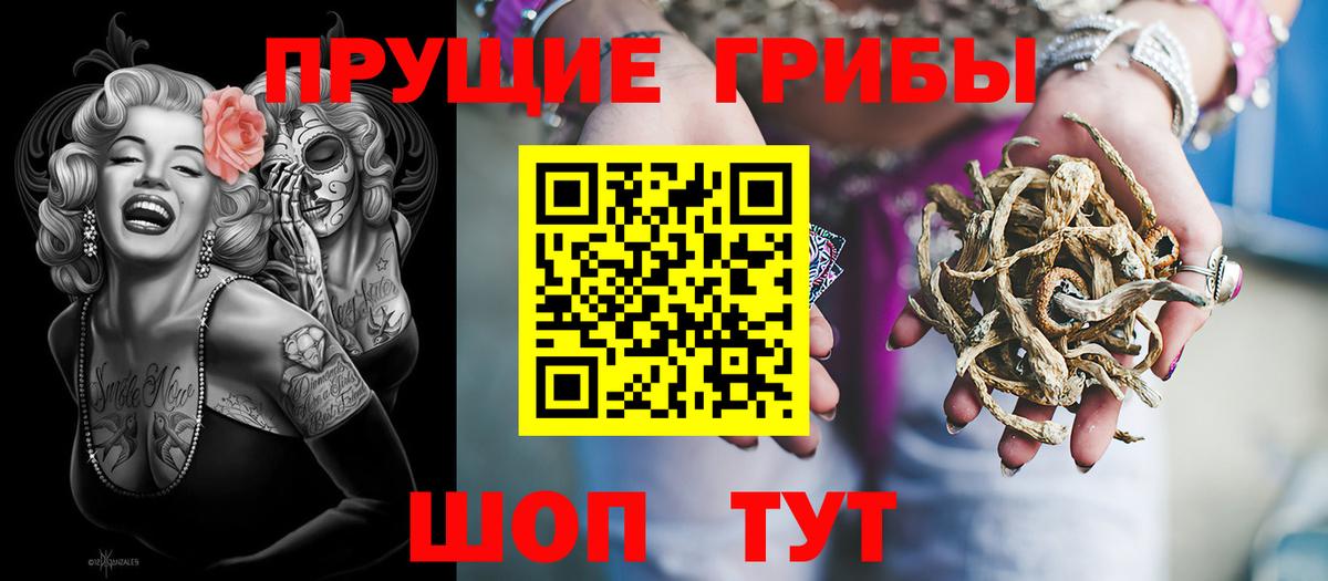 Псилоцибиновые грибы Cubensis Черногорск